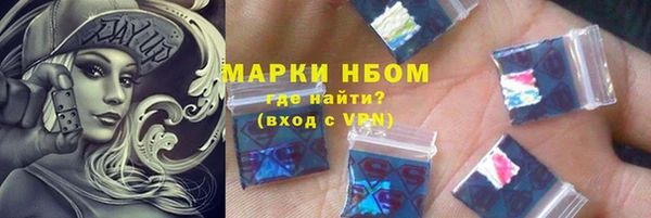 дмт Бородино