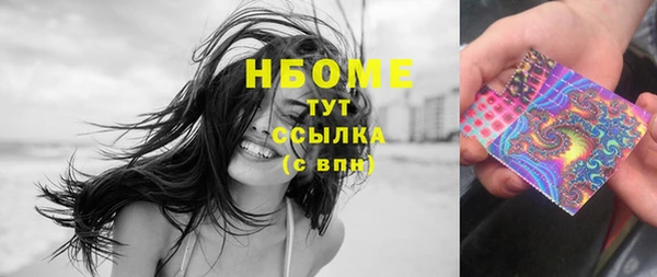 дмт Бородино