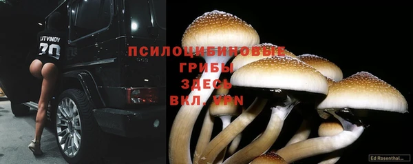 дмт Бородино