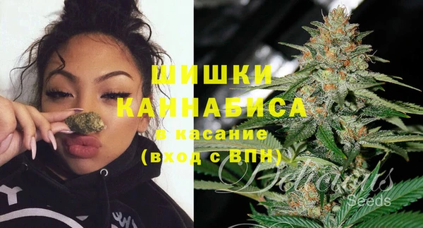 дмт Богородицк