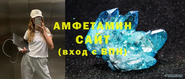 дмт Бородино