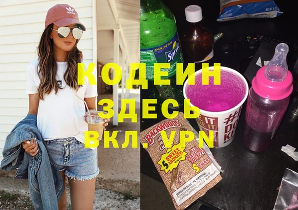 дмт Бородино