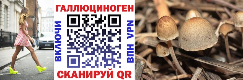 Псилоцибиновые грибы GOLDEN TEACHER  Яранск 